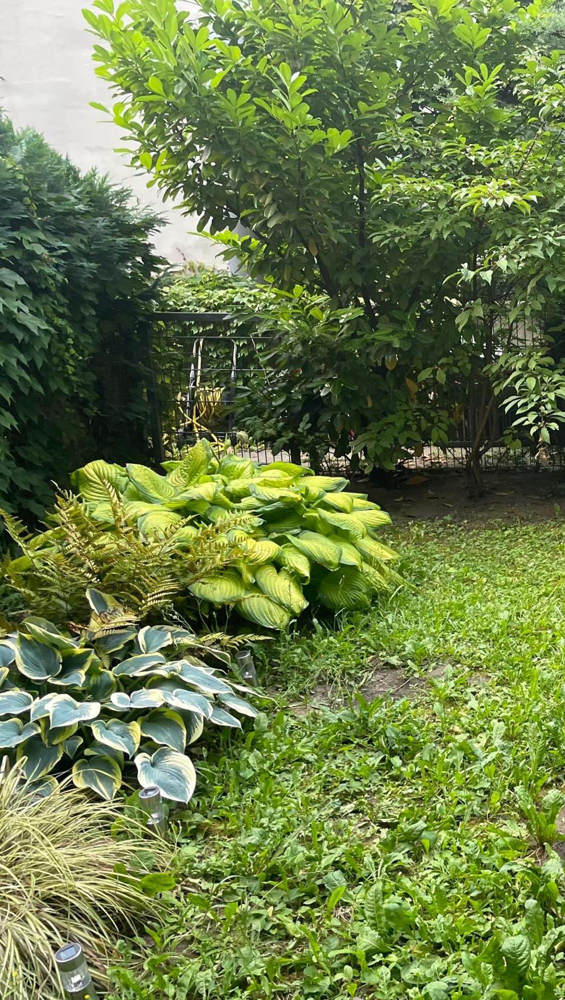Apartment Mit Logia Und Kleinen Garten In Zentraler Lage 2 Bécs Kültér fotó